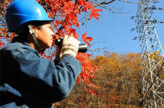 送電檢修班工人呂清森:執著的堅守