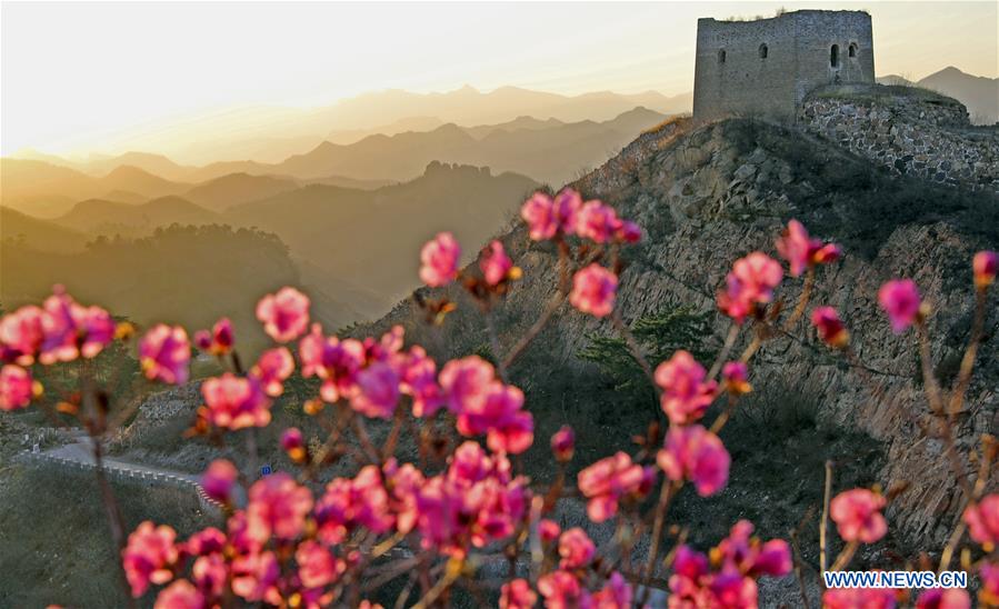 CHINA-LIAONING-SUIZHONG-GREAT WALL-SCENERY (CN)