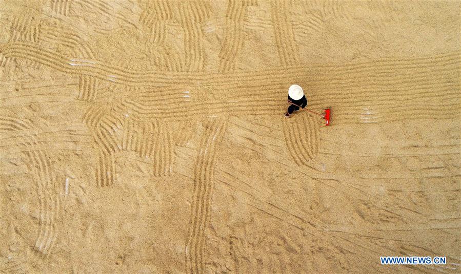 #CHINA-AGRICULTURE-HARVEST (CN)