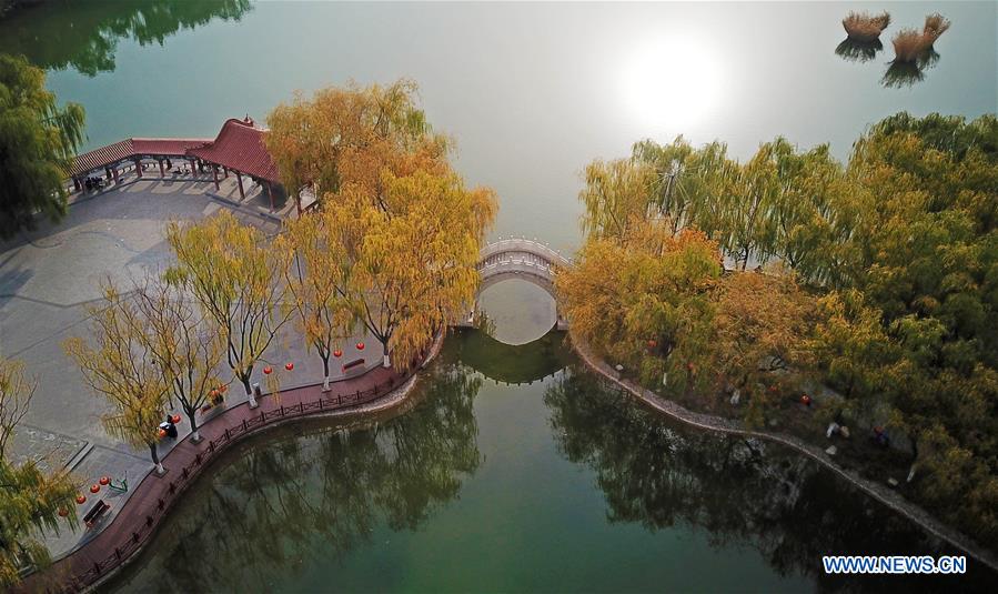 CHINA-YINCHUAN-AUTUMN SCENERY (CN)