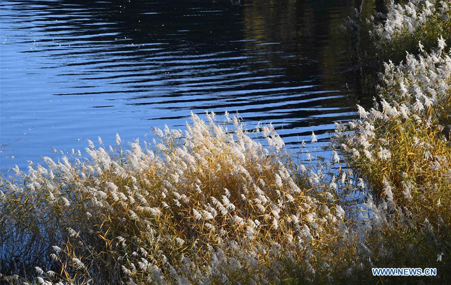 CHINA-YUNNAN-LUGU LAKE-SCENERY (CN)