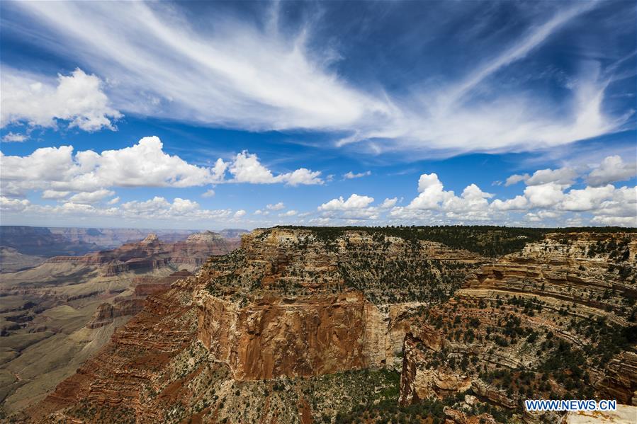 U.S.-LOS ANGELES-GRAND CANYON-SCENERY