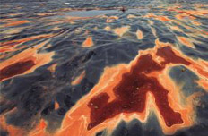 全國(guó)污染地塊至少30萬塊 絕大多數(shù)未被修復(fù)