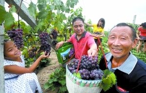 力爭“城鄉收入差距持續縮小” 富裕農民出實招