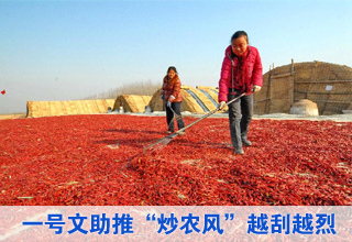 “一號文”倒計(jì)時 “炒農(nóng)風(fēng)”進(jìn)行式