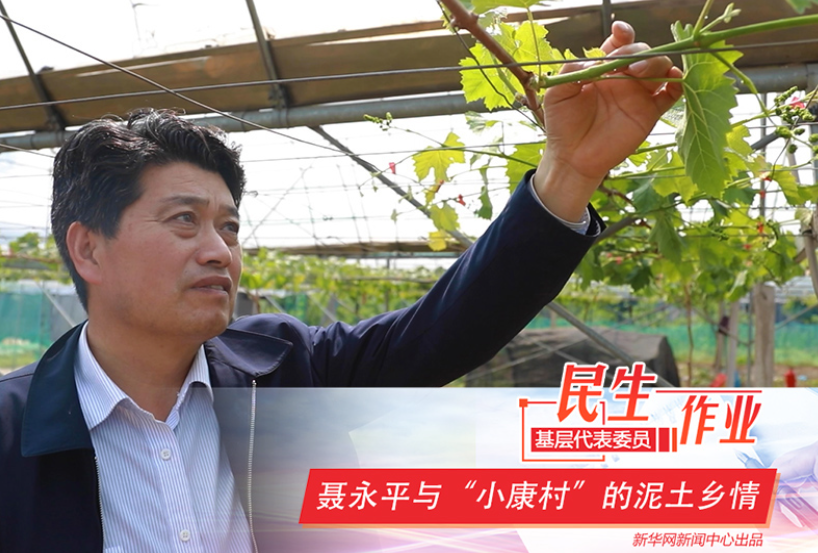 聶永平與&ldquo;小康村&rdquo;的泥土鄉情