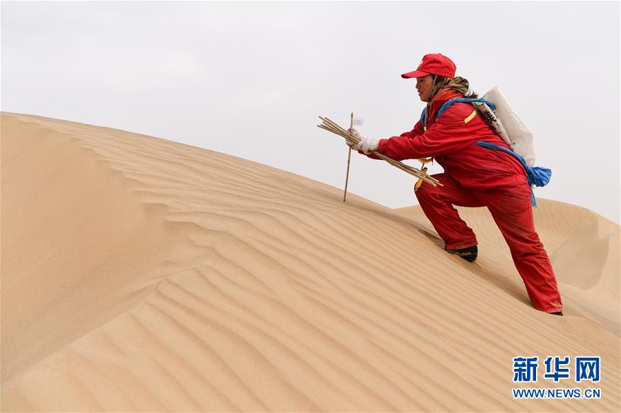 （新春走基層）（8）石油物探隊的&ldquo;女漢子&rdquo;