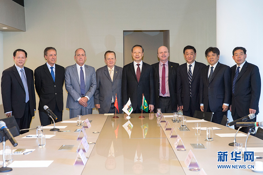 7月11日，在巴西首都巴西利亞，中共中央書(shū)記處書(shū)記、全國(guó)政協(xié)副主席杜青林（中）會(huì)見(jiàn)巴西民主運(yùn)動(dòng)黨總書(shū)記毛羅&middot;洛佩斯（左四）。新華社記者李明攝