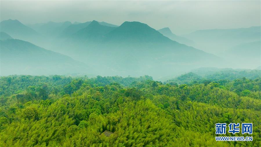 （新華全媒頭條&middot;圖文互動）（9）赤水：別了，貧困！