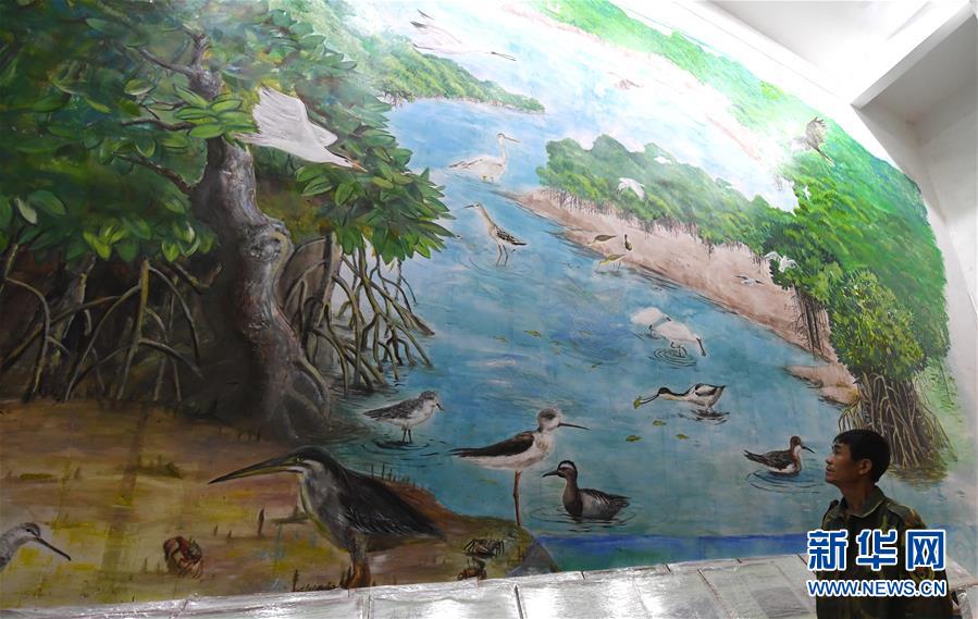 （圖文互動(dòng)）（5）十年樹木、紅樹成林&mdash;&mdash;&ldquo;海上森林&rdquo;回歸記