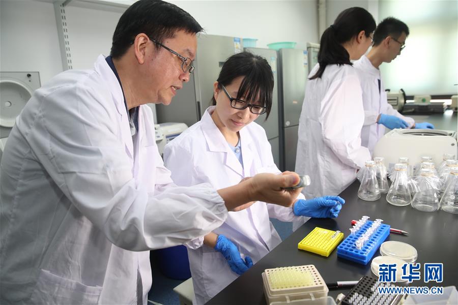 （新華全媒頭條&middot;圖文互動）（1）人造單條染色體真核細胞問世　我國開啟合成生物學(xué)研究新時代