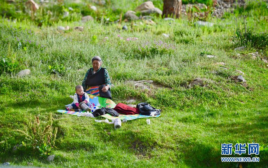 （社會(huì)）（3）夏日&ldquo;過(guò)林卡&rdquo; 親近大自然