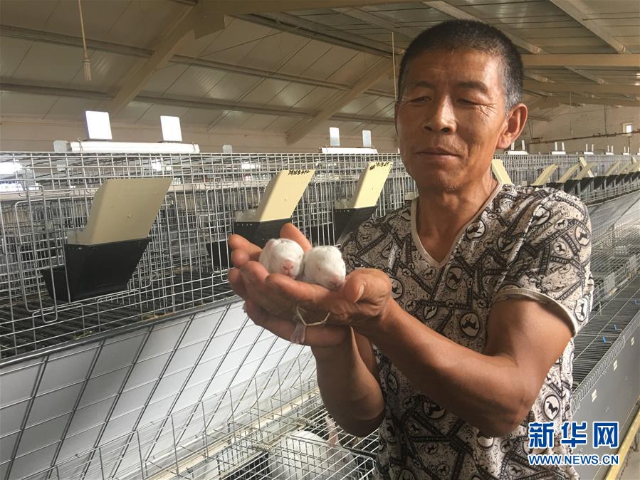 （新華全媒頭條&middot;在習近平新時代中國特色社會主義思想指引下&mdash;&mdash;新時代新作為新篇章&middot;圖文互動）（10）綠富同興畫卷在沙海中鋪展&mdash;&mdash;庫布其沙漠生態治理紀實