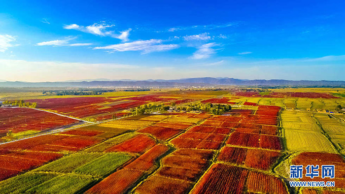 秋收的中國，你想象不到的美！但更美的是&hellip;&hellip;