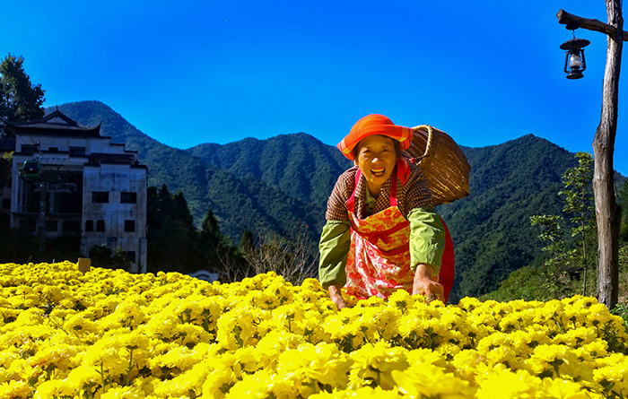 秋收的中國，你想象不到的美！但更美的是&hellip;&hellip;