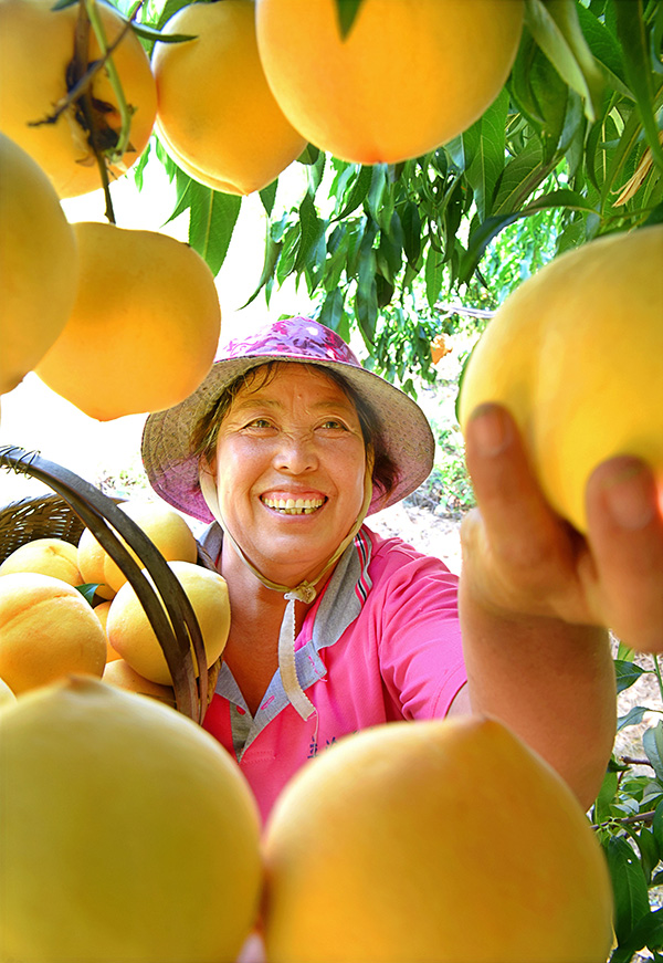秋收的中國，你想象不到的美！但更美的是&hellip;&hellip;