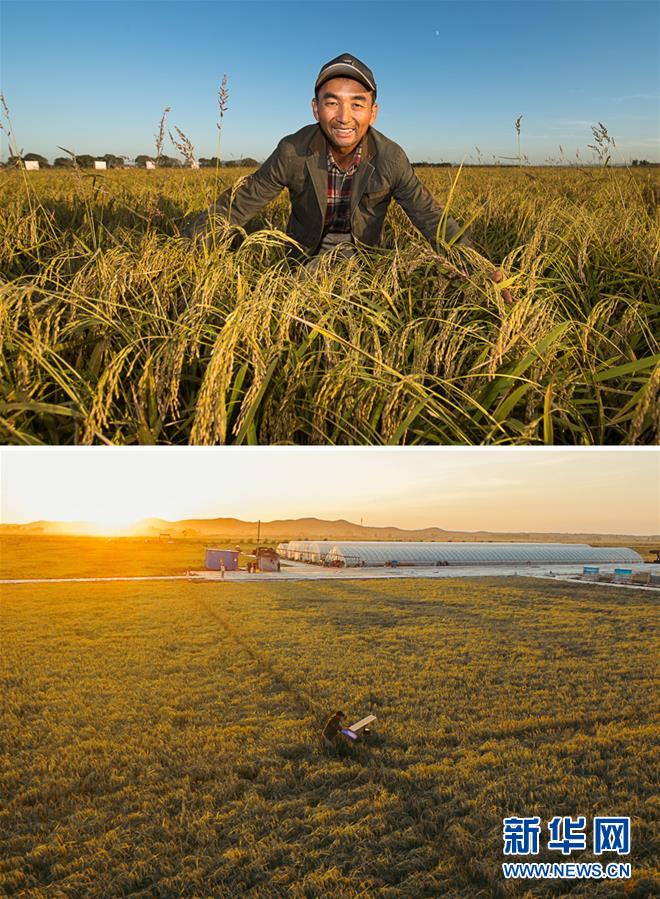 （新華全媒頭條&middot;圖文互動(dòng)）（10）最年輕的節(jié)日 最悠久的牽念&mdash;&mdash;寫給首個(gè)中國農(nóng)民豐收節(jié)