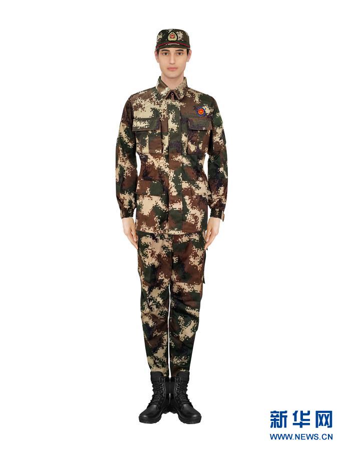 請以此畫面為準?。〞r政）（6）應急管理部發布國家綜合性消防救援隊伍改革過渡期身份標識牌