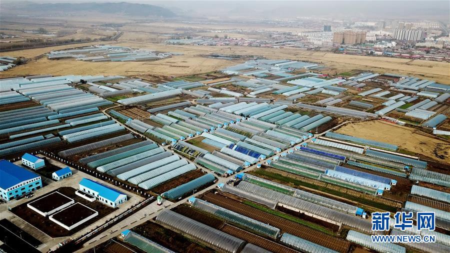 (百城百縣百企調研行·圖文互動)(1)瞧瞧這些村咋富起來的——黑龍江省牡丹江市發(fā)展特色精品農業(yè)促農增收