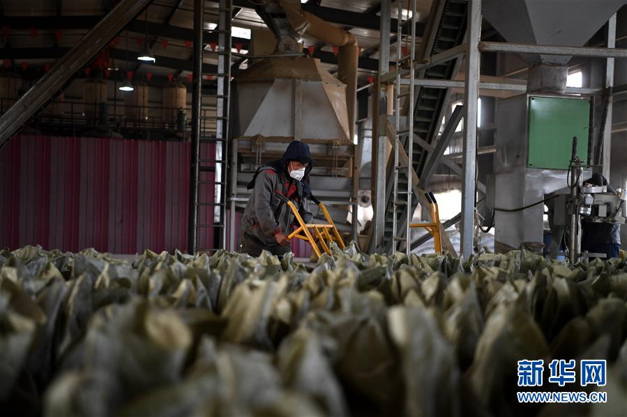 （在習近平新時代中國特色社會主義思想指引下&mdash;&mdash;新時代新氣象新作為&middot;鄉村振興戰略&middot;圖文互動）（1）&ldquo;與其放火，不如打包&rdquo;&mdash;&mdash;山西渾源秸稈綜合再利用見聞