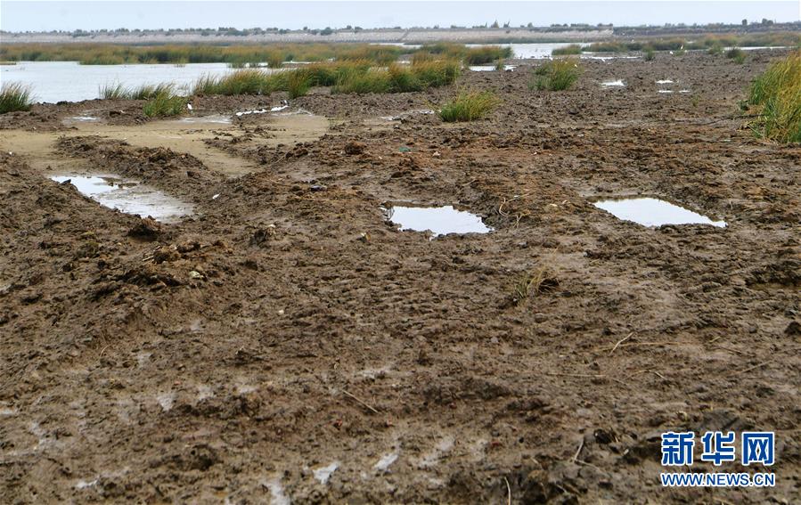 （新華視點&middot;圖文互動）（2）福建10名黨員干部被問責的背后：7部門十余次執法未能有效制止泉州灣濕地圍墾行為