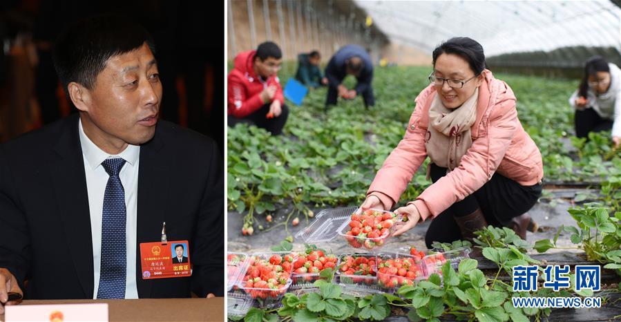 （兩會&middot;影像鏈接）全國人大代表唐廷波：加強落實強農惠農政策 增加農民收入