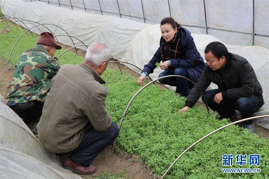 （兩會前夕看落實&middot;圖文互動）（1）奮力脫貧攻堅 生態追&ldquo;清&rdquo;逐&ldquo;綠&rdquo;&mdash;&mdash;江西落實習近平總書記全國兩會重要講話精神紀實