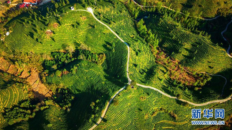 （兩會前夕看落實&middot;圖文互動）（5）奮力脫貧攻堅 生態追&ldquo;清&rdquo;逐&ldquo;綠&rdquo;&mdash;&mdash;江西落實習近平總書記全國兩會重要講話精神紀實