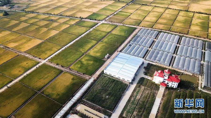 （新華全媒頭條&middot;愛國情 奮斗者&middot;圖文互動）（8）一個村的奮斗，一個時代的巨變&mdash;&mdash;記敢&ldquo;蹚新路&rdquo;的小崗人