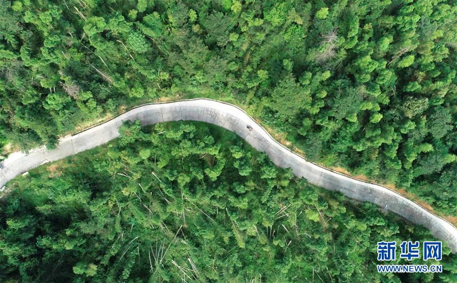 （中國(guó)網(wǎng)事&middot;感動(dòng)2019&middot;圖文互動(dòng)）（7）鄉(xiāng)村教師高自仁：60多根拐杖，撐起42年教學(xué)路