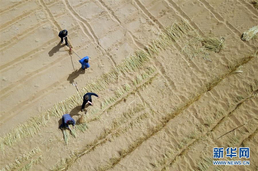 (新華全媒頭條·圖文互動(dòng))(9)八步沙·六老漢·三代人