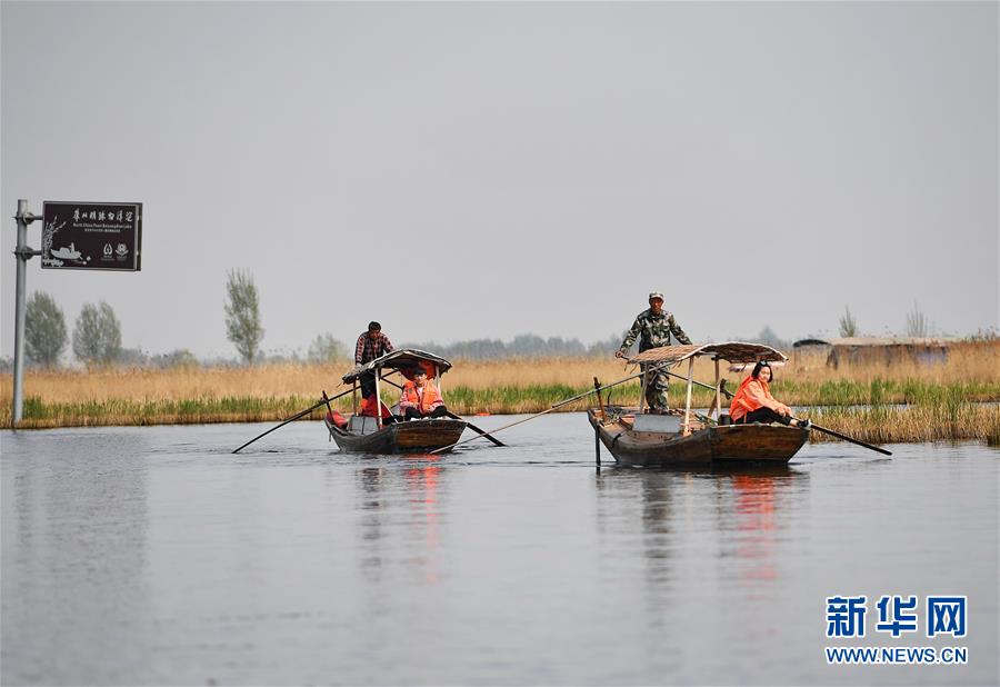 （壯麗70年&middot;奮斗新時代&middot;圖文互動）（6）從革命老區到雄安新區 白洋淀迎來新生