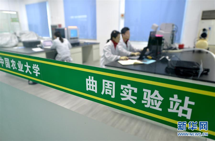 （愛(ài)國(guó)情 奮斗者&middot;圖文互動(dòng)）（3） &ldquo;解民生之多艱，育天下之英才&rdquo;&mdash;&mdash;中國(guó)農(nóng)大師生扎根田野書寫奉獻(xiàn)之歌