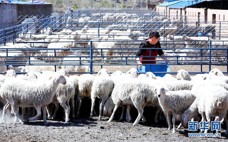 （圖文互動）（2）柳暗花明又一村&mdash;&mdash;&ldquo;今日之中國&rdquo;系列述評之三
