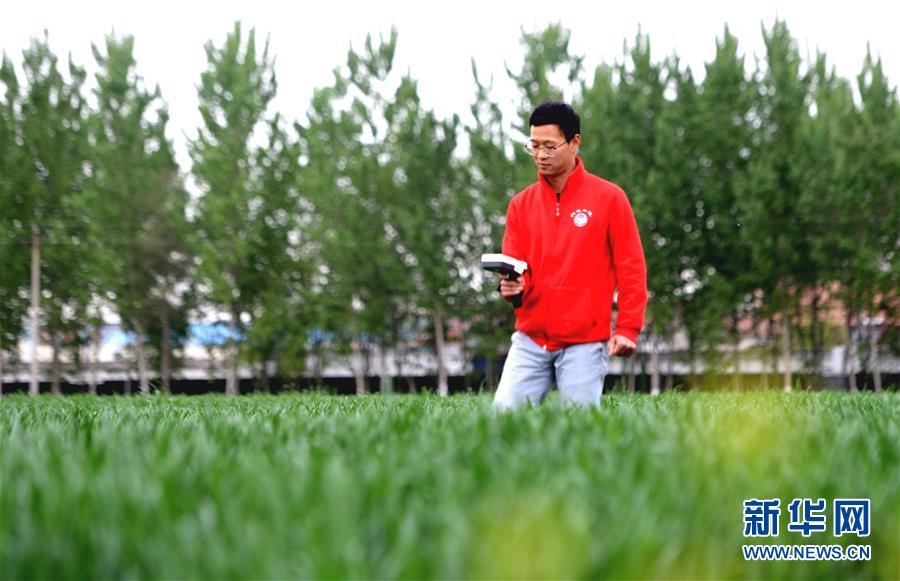 （新華全媒頭條&middot;愛國情 奮斗者&middot;圖文互動）（5）把論文寫在祖國的大地上&mdash;&mdash;中國農業大學46年扎根河北曲周服務鄉村振興紀實