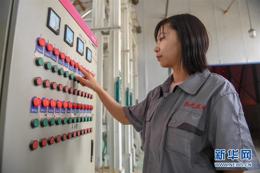 (在習近平新時代中國特色社會主義思想指引下——新時代新作為新篇章·圖文互動)(5)大學生種田讓農民“老把式”開了眼——吉林長白山下的稻田新事