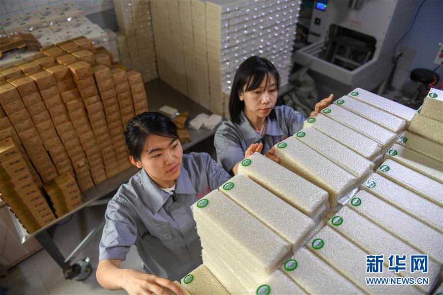 (在習近平新時代中國特色社會主義思想指引下——新時代新作為新篇章·圖文互動)(7)大學生種田讓農民“老把式”開了眼——吉林長白山下的稻田新事