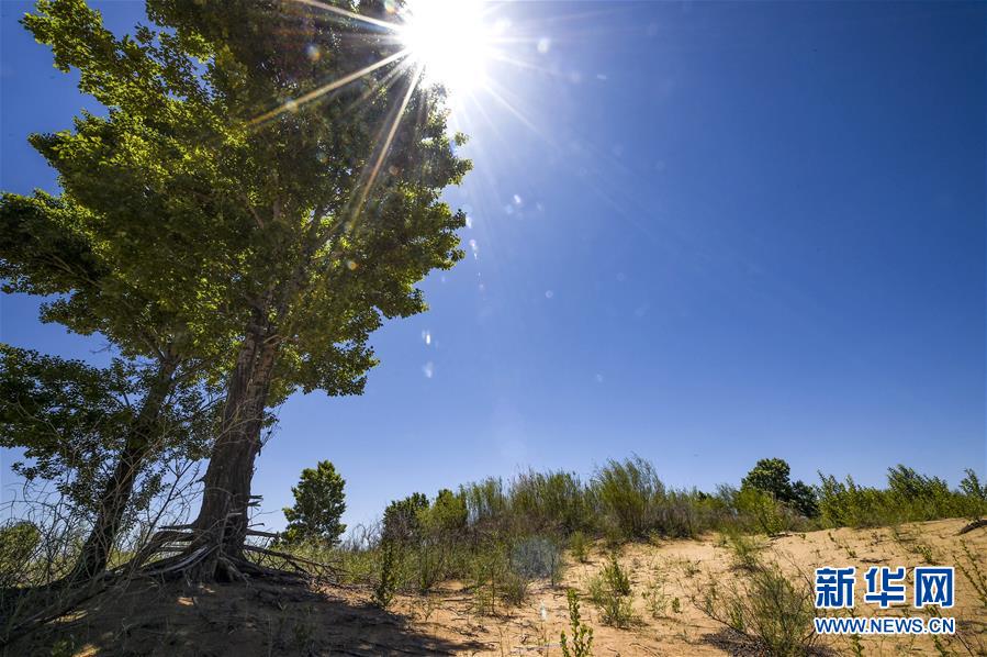 (新華全媒頭條·壯麗70年·奮斗新時(shí)代·圖文互動(dòng))(5)中國減貧的西海固報(bào)告