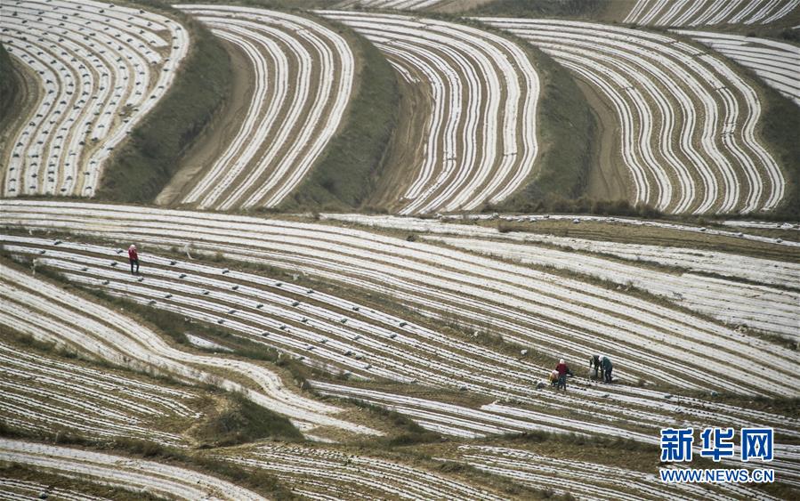 (新華全媒頭條·壯麗70年·奮斗新時(shí)代·圖文互動(dòng))(7)中國減貧的西海固報(bào)告