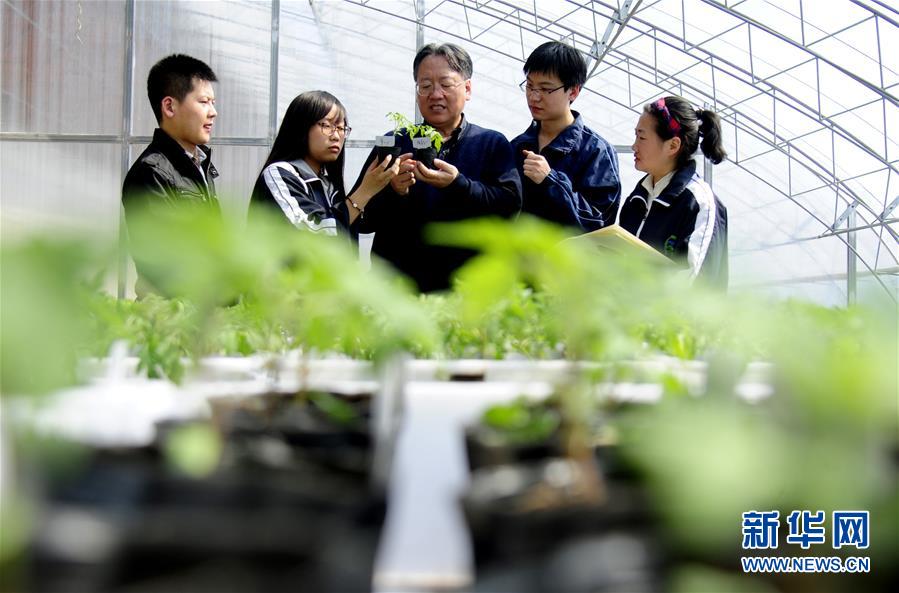 （新華全媒頭條&middot;圖文互動(dòng)）（7）和蔬菜&ldquo;說話&rdquo;的人&mdash;&mdash;中國工程院院士李天來的&ldquo;棚菜人生&rdquo;