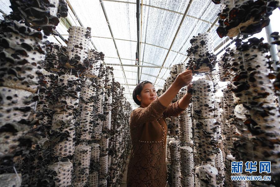 （新華全媒頭條&middot;決戰決勝脫貧攻堅&middot;圖文互動）（6）以沖刺的狀態跑出決勝的姿態&mdash;&mdash;&ldquo;三區三州&rdquo;甘肅深貧區脫貧攻堅報告