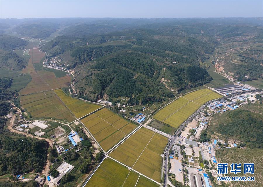 （圖文互動）（1）荒土換青山 林海淘真金&mdash;&mdash;延安退耕還林20載造就綠色奇跡