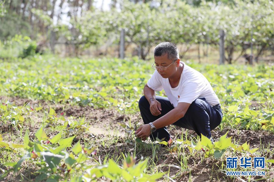 （不忘初心、牢記使命&middot;圖文互動）（4）&ldquo;上天入地&rdquo;也要帶領鄉親脫貧&mdash;&mdash;記廣東那毛村駐村第一書記彭彬