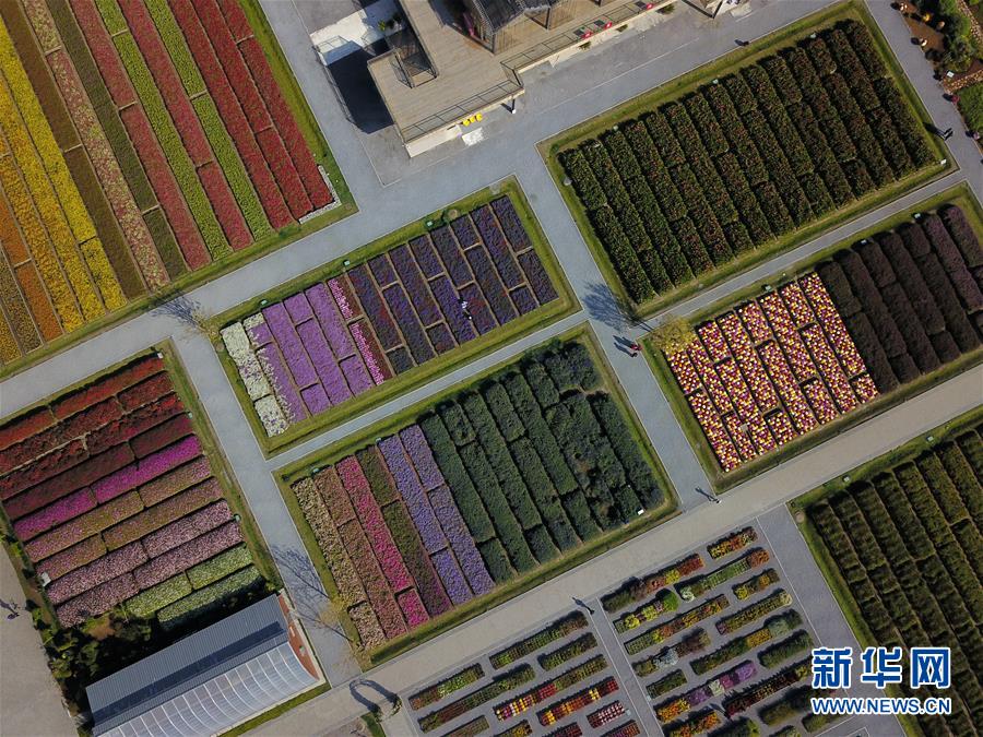 (新華全媒頭條·圖文互動)(11)難忘的“世園記憶” 共同的綠色追求——寫在北京世園會閉幕之際