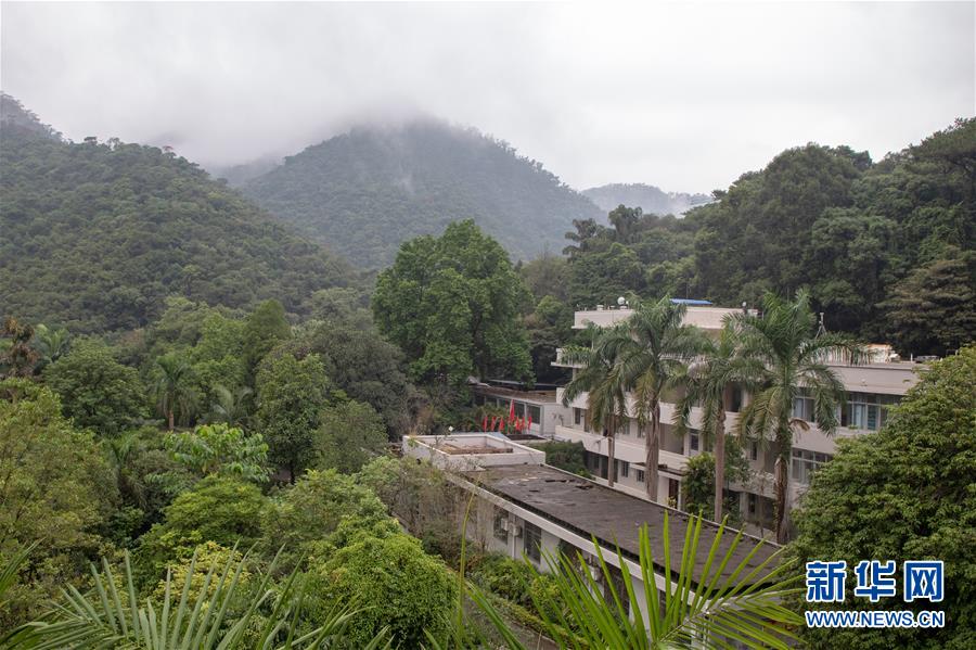 （圖文互動）（3）科學接續保護 守住生態紅線&mdash;&mdash;探訪&ldquo;北回歸沙漠帶上的綠色明珠&rdquo;