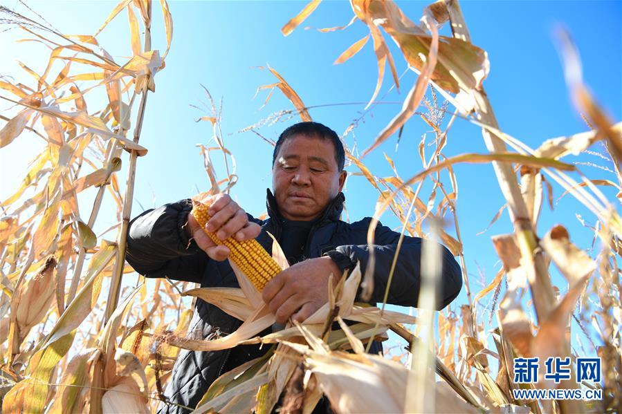 (在習近平新時代中國特色社會主義思想指引下——新時代新作為新篇章·總書記關心的百姓身邊事·圖文互動)(3)一本“村官”日記里的扶貧路——小故事里的大情懷之四
