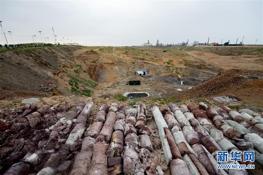 (新華全媒頭條·圖文互動)(1)綠色的啟示——西部地區生態問題典型個案再調查