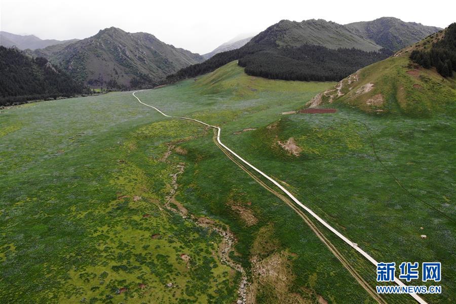 (新華全媒頭條·圖文互動)(10)綠色的啟示——西部地區生態問題典型個案再調查
