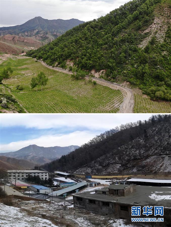 (新華全媒頭條·圖文互動)(8)綠色的啟示——西部地區生態問題典型個案再調查
