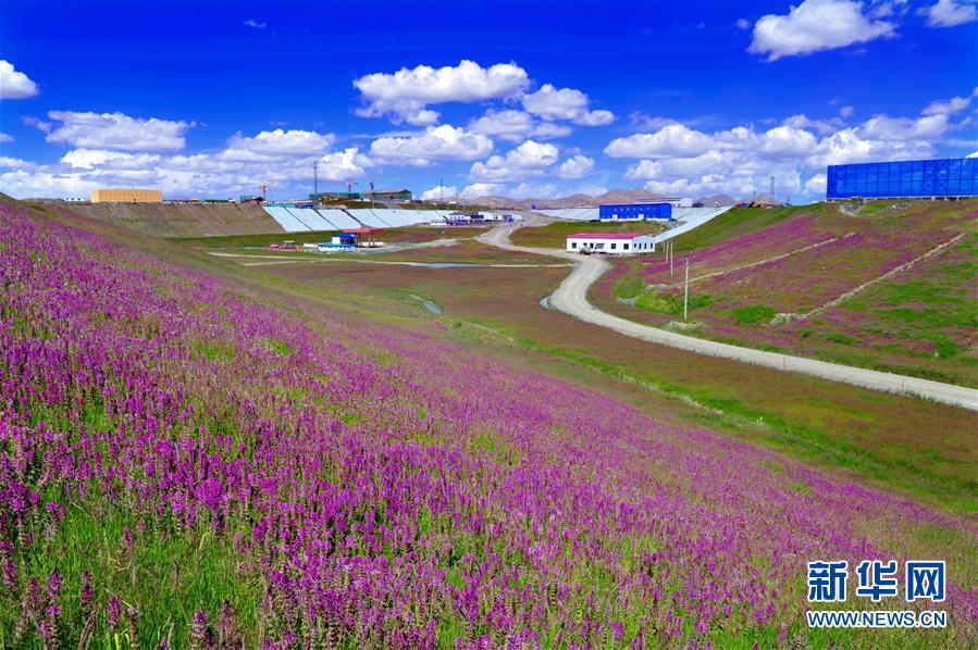 (新華全媒頭條·圖文互動)(7)綠色的啟示——西部地區生態問題典型個案再調查